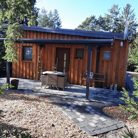 Ferienhaus Leon Mit Sauna Rehburg-Loccum Ngoại thất bức ảnh