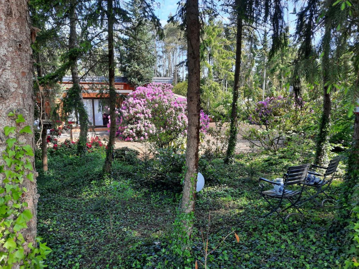 Ferienhaus Leon Mit Sauna Rehburg-Loccum Ngoại thất bức ảnh