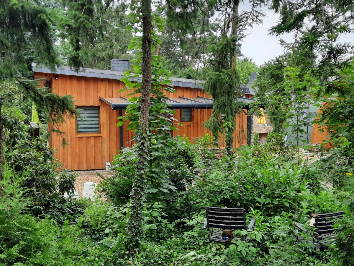 Ferienhaus Leon Mit Sauna Rehburg-Loccum Ngoại thất bức ảnh