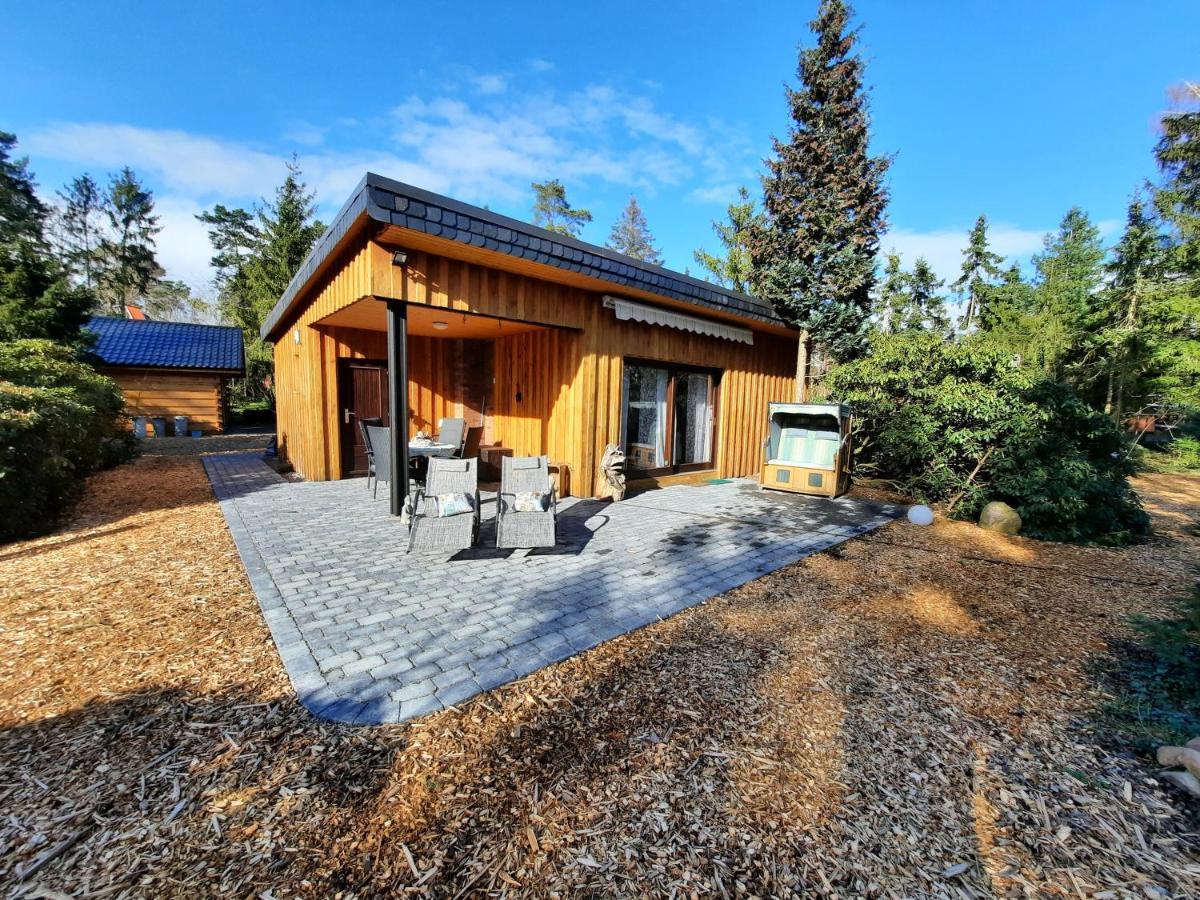 Ferienhaus Leon Mit Sauna Rehburg-Loccum Ngoại thất bức ảnh
