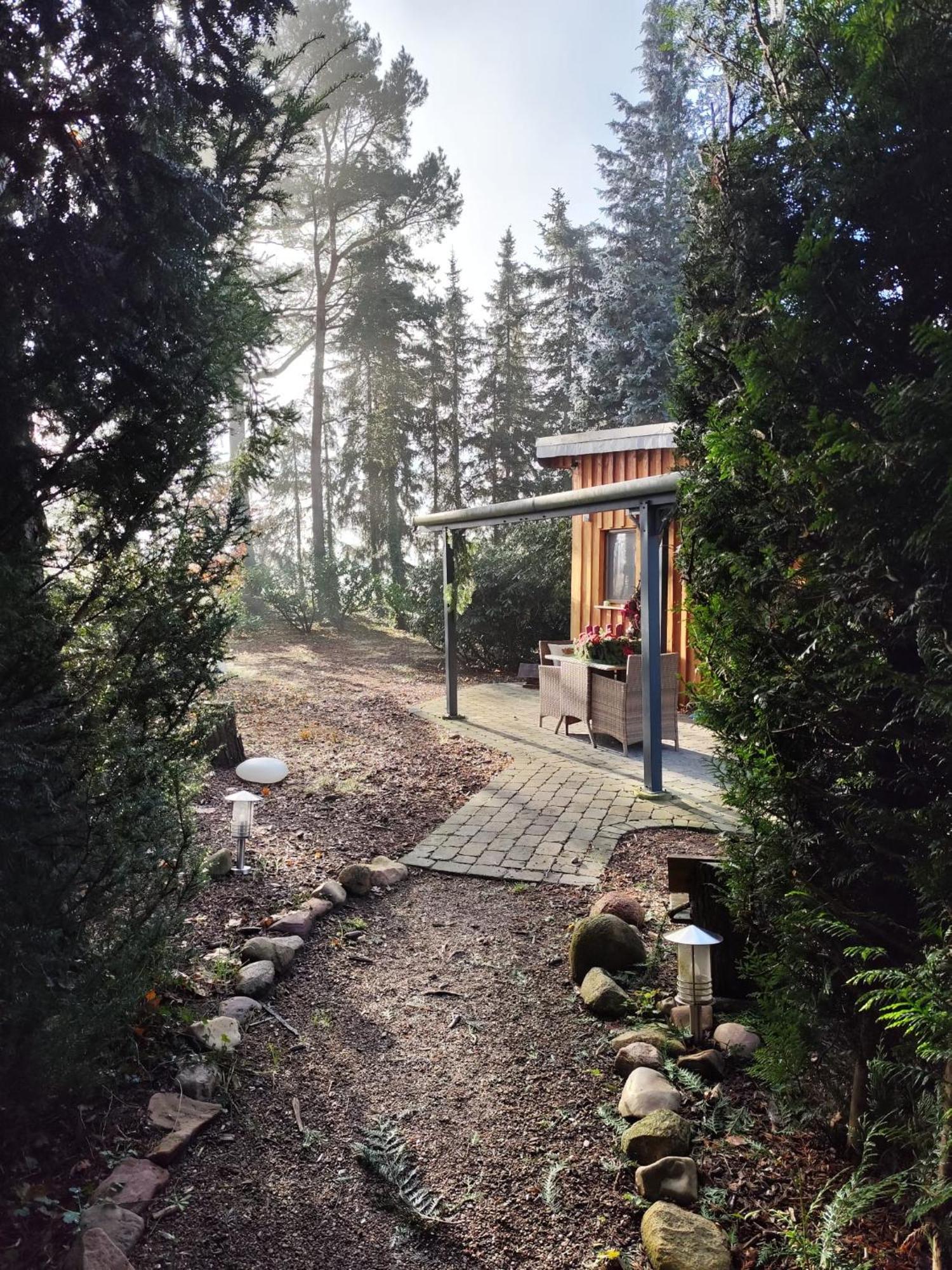 Ferienhaus Leon Mit Sauna Rehburg-Loccum Ngoại thất bức ảnh